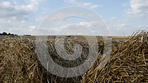 Beveled haystack stands on a field