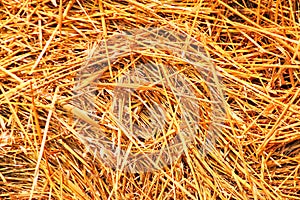 Beveled haystack, summer, straw wrapped on the field