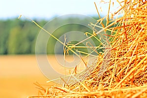 Beveled haystack, summer, straw wrapped on the field