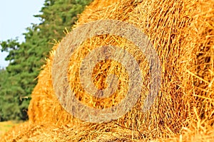 Beveled haystack, summer, straw wrapped on the field