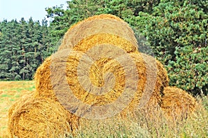 Beveled haystack, summer, straw wrapped on the field