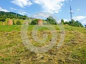 Bevelled hay and haystacks on a mountain slope