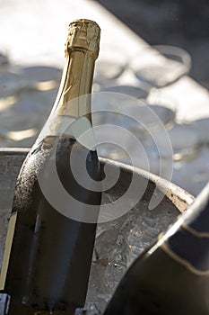 Beverage at a buffet