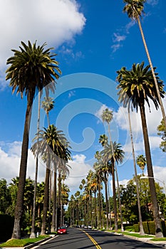 Beverly Hills photo