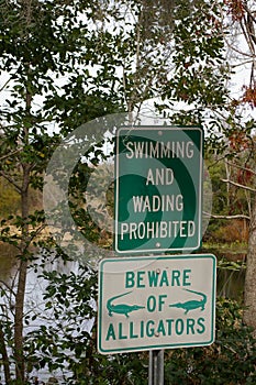 Beware Of Alligators