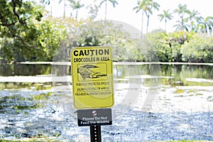 Beware of alligators. Alligator warning