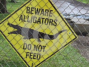 Beware Alligators sign