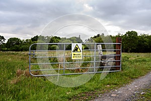 Beware of the bull warning sign