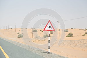 Beware Of Camels On Desert Highway