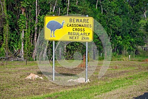 Beware of Cassowaries road sign in beautiful Queensland road, Australia