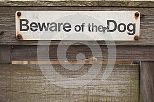 Beware of the Dog