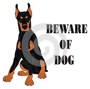 Beware of dog