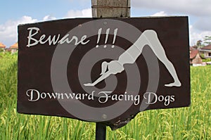 `Beware of downward facing dogs` signage