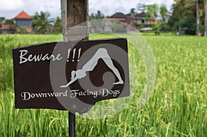 Beware of downward facing dogs` signage