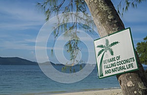 Beware of falling coconuts and natural life sign