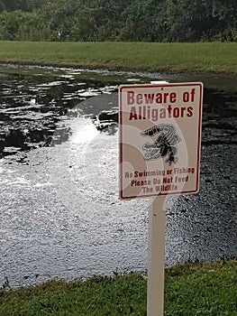 Beware of Gators!