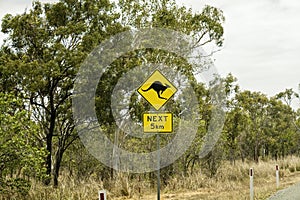 Beware Of Kangaroos On The Road Sign