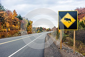 Beware of moose road sign in Algonquin Provincial Park, Ontario, Canada