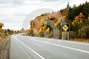 Beware of moose road sign in Algonquin Provincial Park, Ontario, Canada