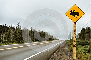 Watch out for moose. Warning yellow sign and Canadian highway