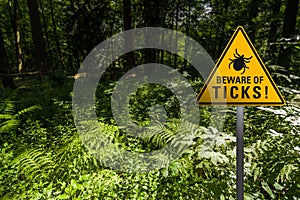 Beware of ticks