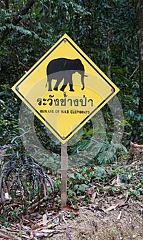 Beware of wild elephants sign