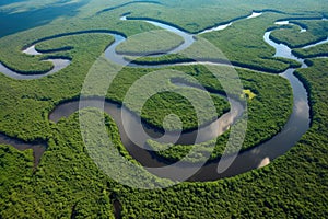 bewildering maze of waterways and tributaries in the amazonas