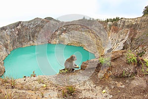 Bewitched or Enchanted Lake, Kelimutu Crater Lakes photo