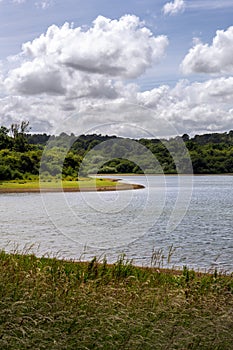 Bewl Water on a summer afternoon, South of England