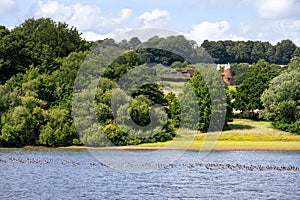 Bewl Water on a summer afternoon, South of England