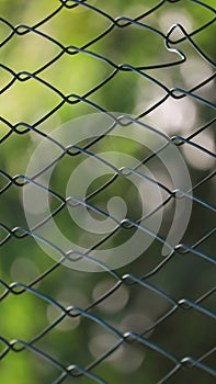 Beyond the fence bokeh greenery nature