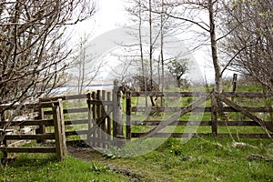 Beyond the garden gate