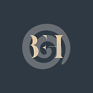 BFH abstract letter logo