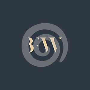 BFW abstract letter logo