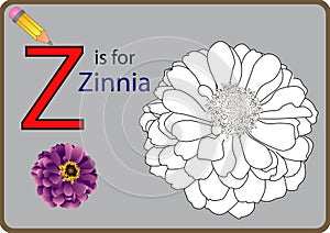 Z for Zinnia