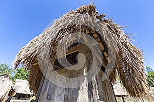 Bhaga female shrine