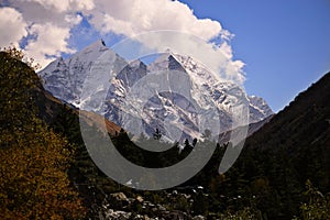 bhagirathi peaks from gangotri national park at chirbasa uttarakhand india