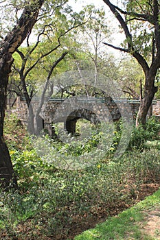 Bhagwan Mahavir Vanasthali in New Delhi, India