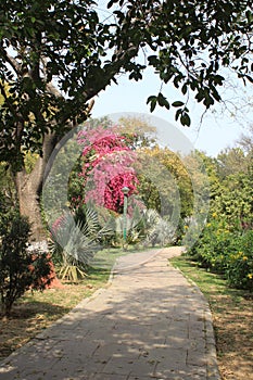 Bhagwan Mahavir Vanasthali Park in New Delhi, India