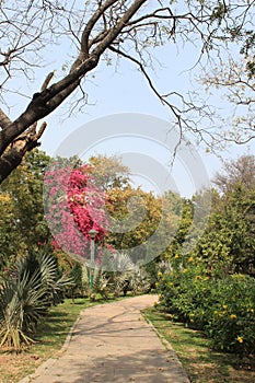 Bhagwan Mahavir Vanasthali Park in New Delhi, India