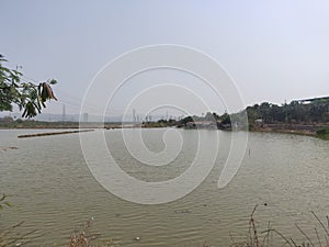 Indian Bhandup Bay. We are very few hence save us.