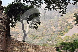 Bhangarh nature.