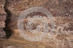 Bhimbetka Rock Shelters