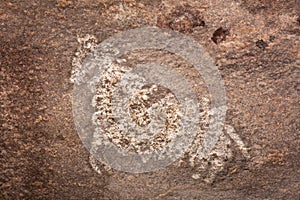 Bhimbetka Rock Shelters