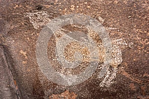 Bhimbetka Rock Shelters