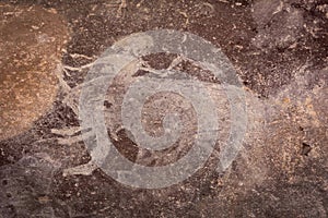 Bhimbetka Rock Shelters