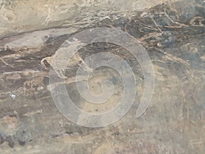 Bhimbetka rock shelters prehistoric rock paintings