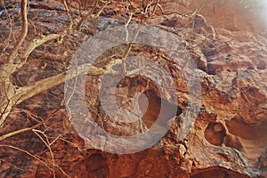 Bhimbetka Rock Shelters , UNESCO Heritage site , district bhopal, madhya pradesh,india