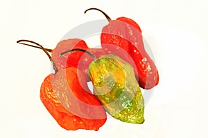 Bhut Jolokia