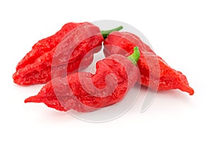 Bhut Jolokia - Chilli snake